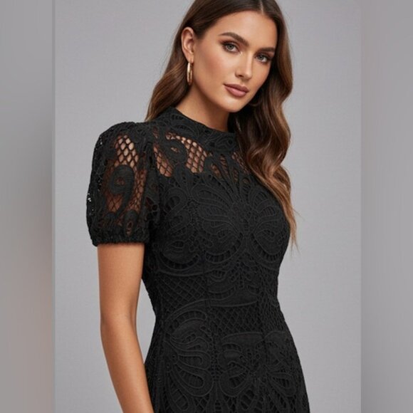 Lace Stand Collar Dress With Ruffle Hem Black - Picture 2 of 6